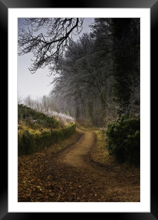 Winter Trail at Linacre Reservoir Framed Mounted Print by Simon Gladwin