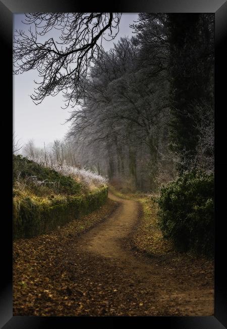 Winter Trail at Linacre Reservoir Framed Print by Simon Gladwin