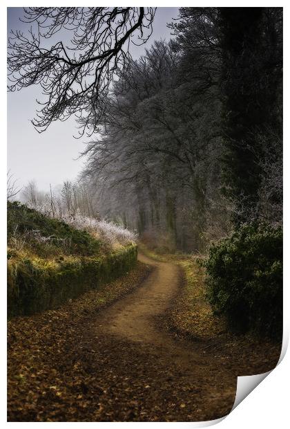 Winter Trail at Linacre Reservoir Print by Simon Gladwin