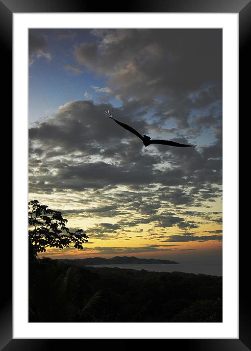 Sunrise and Vulture Framed Mounted Print by james balzano, jr.