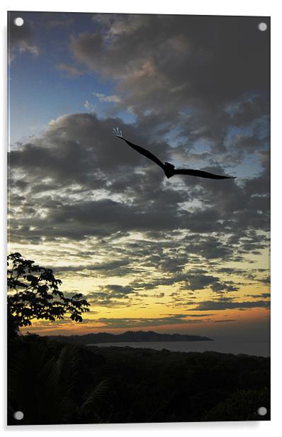Sunrise and Vulture Acrylic by james balzano, jr.