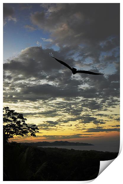 Sunrise and Vulture Print by james balzano, jr.