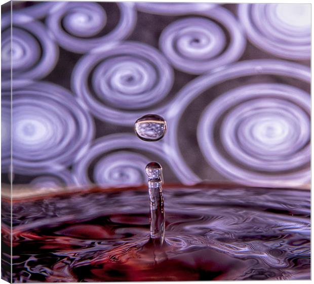  The water drip Canvas Print by Alan Glicksman