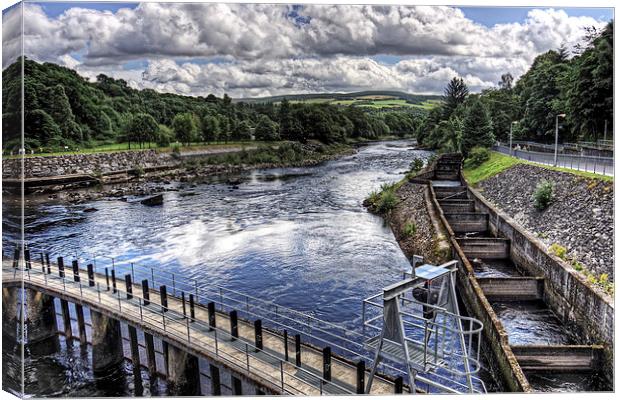 Pitlochry Fish Ladder Canvas Print by Tom Gomez