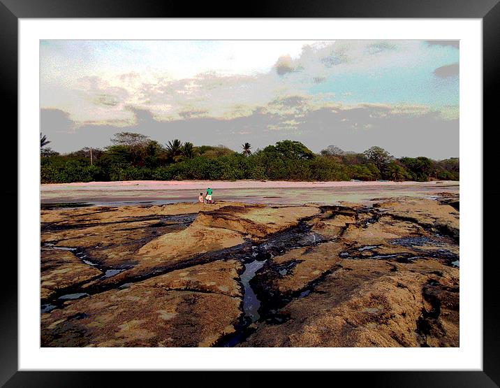 Exposed Rocks at Low Tide  Framed Mounted Print by james balzano, jr.