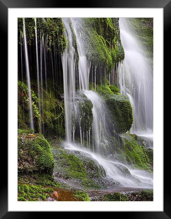 Lower Lilydale Falls Framed Mounted Print by Mike Dawson