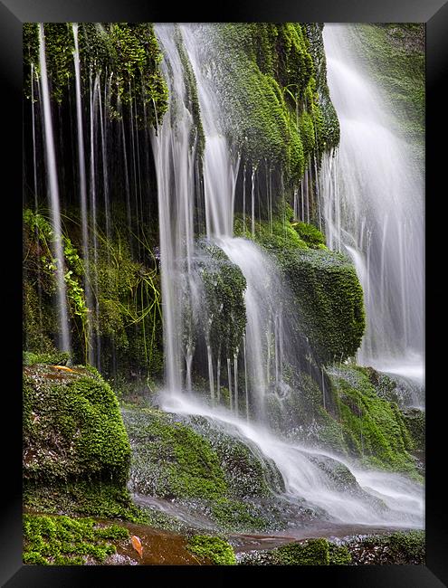 Lower Lilydale Falls Framed Print by Mike Dawson