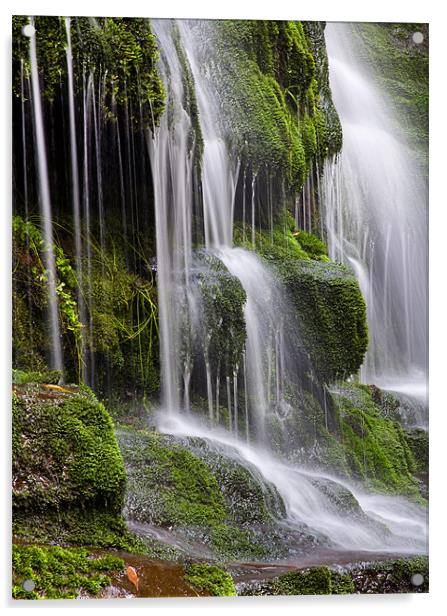 Lower Lilydale Falls Acrylic by Mike Dawson