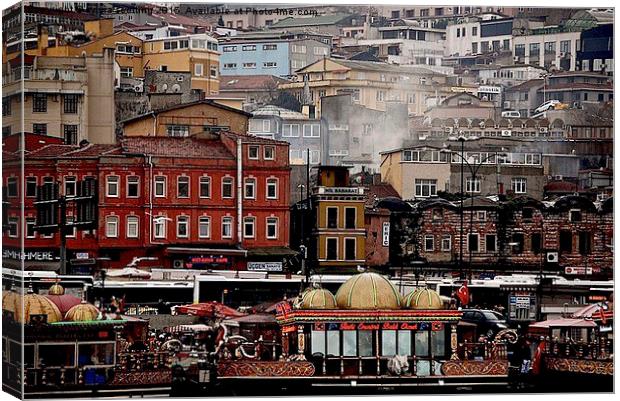  Istanbul Sky line  Canvas Print by sylvia scotting