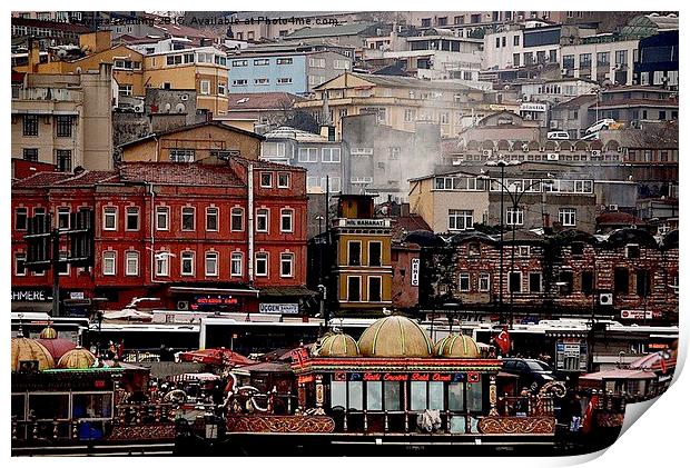  Istanbul Sky line  Print by sylvia scotting