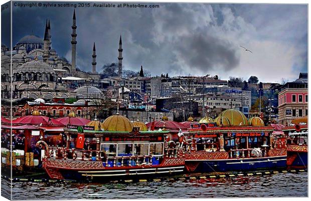  A City to behold. Istanbul . Canvas Print by sylvia scotting