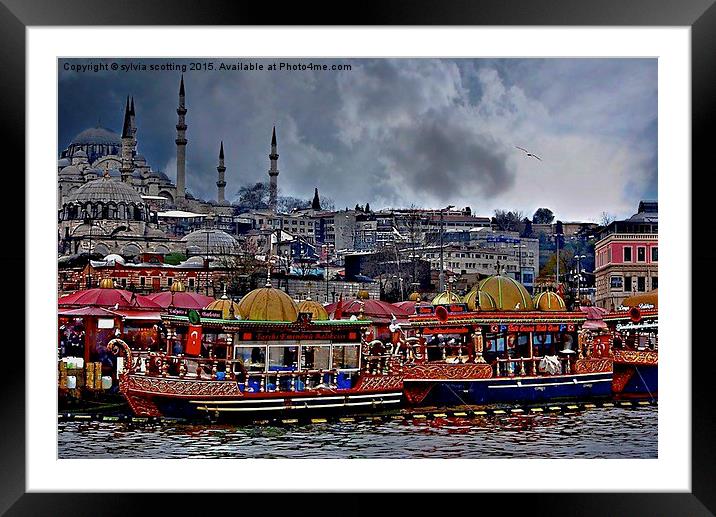  A City to behold. Istanbul . Framed Mounted Print by sylvia scotting