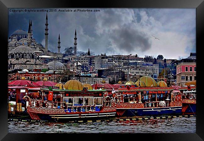  A City to behold. Istanbul . Framed Print by sylvia scotting