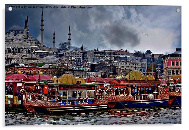  A City to behold. Istanbul . Acrylic by sylvia scotting
