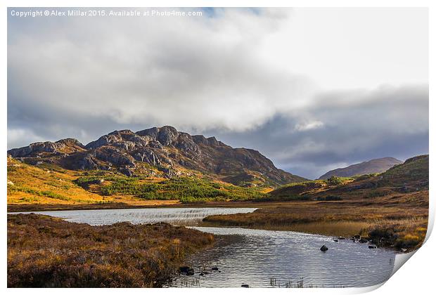  Scotland From The Roadside Print by Alex Millar