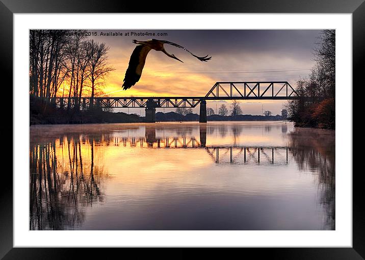 Snohomish Framed Mounted Print by Paul Fell