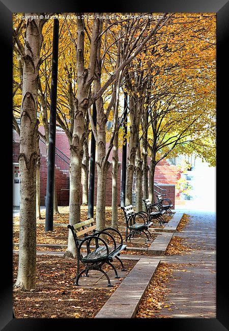  New York city park Framed Print by Matthew Bates