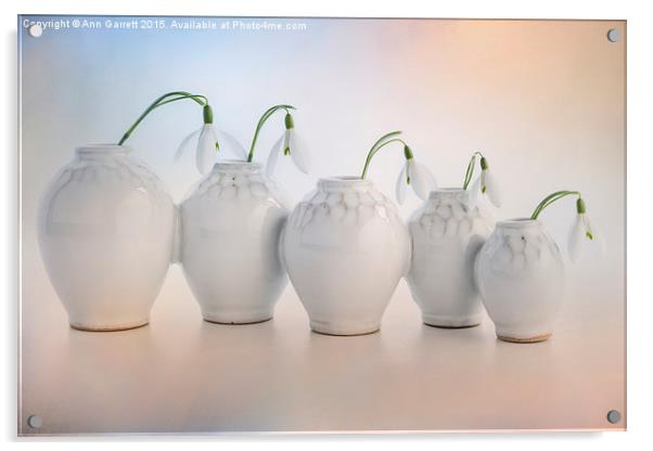 Five Snowdrops in a Row Acrylic by Ann Garrett