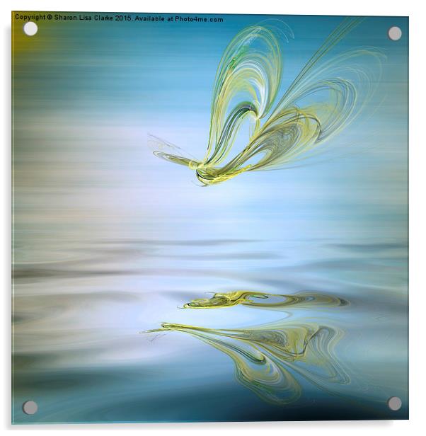  Fractal flutters Acrylic by Sharon Lisa Clarke