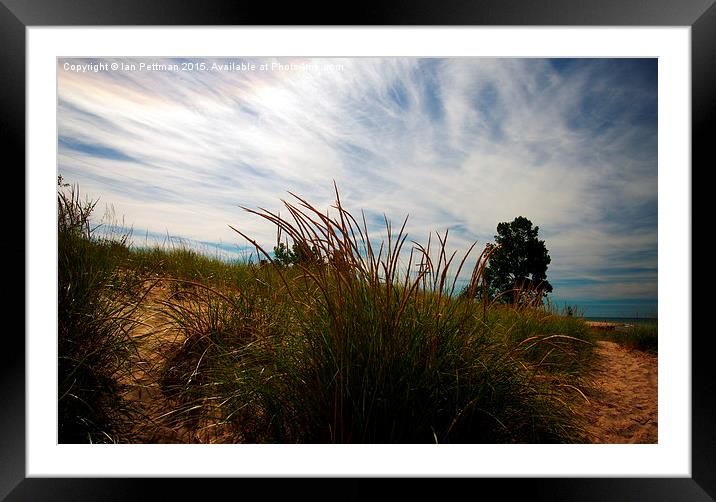 September Dune Grass and Sky Framed Mounted Print by Ian Pettman