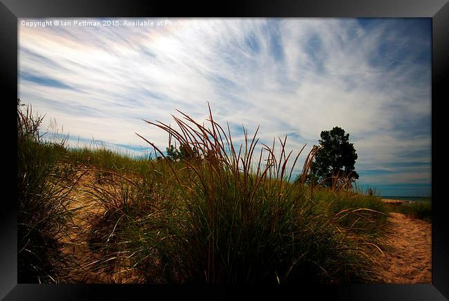 September Dune Grass and Sky Framed Print by Ian Pettman