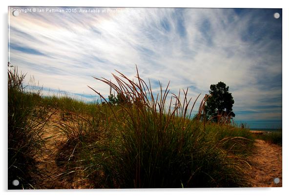 September Dune Grass and Sky Acrylic by Ian Pettman