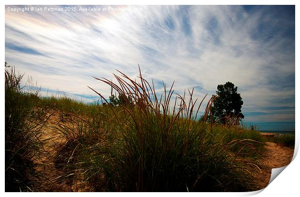 September Dune Grass and Sky Print by Ian Pettman