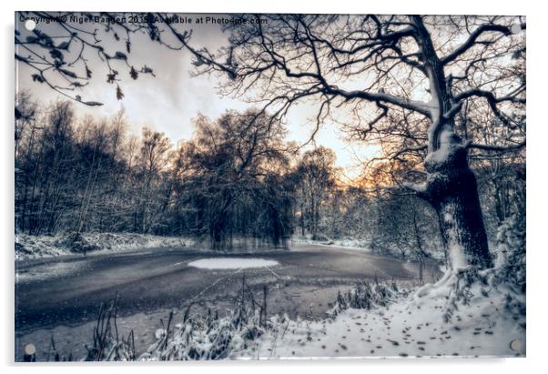  Winter Pond Acrylic by Nigel Bangert