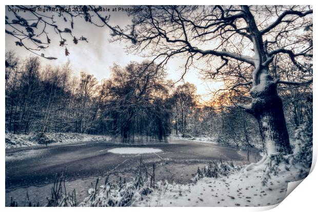  Winter Pond Print by Nigel Bangert