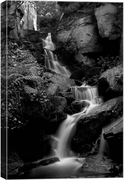 Lumsdale Falls in Black and White Canvas Print by Simon Gladwin