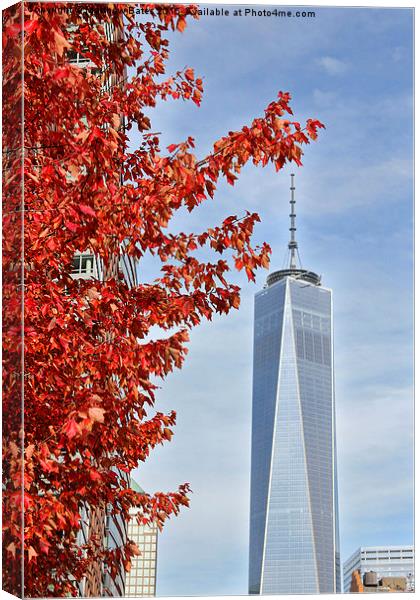  Freedom Tower Canvas Print by Matthew Bates