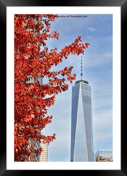  Freedom Tower Framed Mounted Print by Matthew Bates
