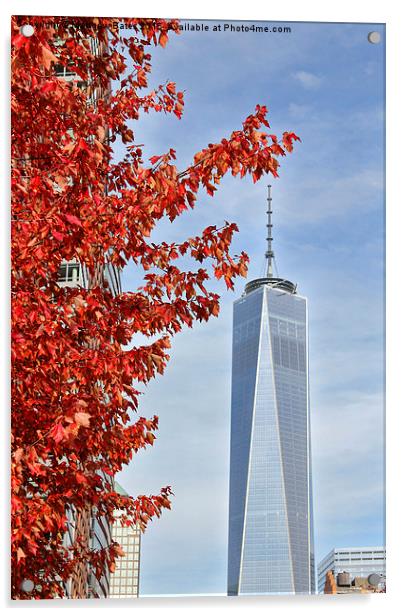  Freedom Tower Acrylic by Matthew Bates