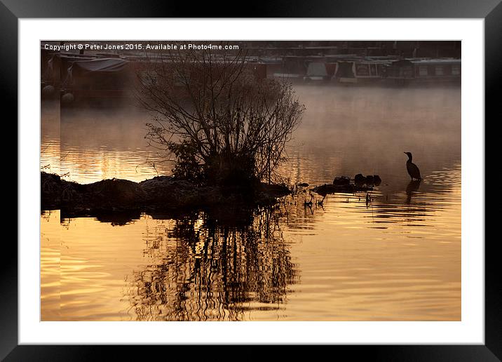 Cormorant silhouette early morning canal boatyard  Framed Mounted Print by Peter Jones