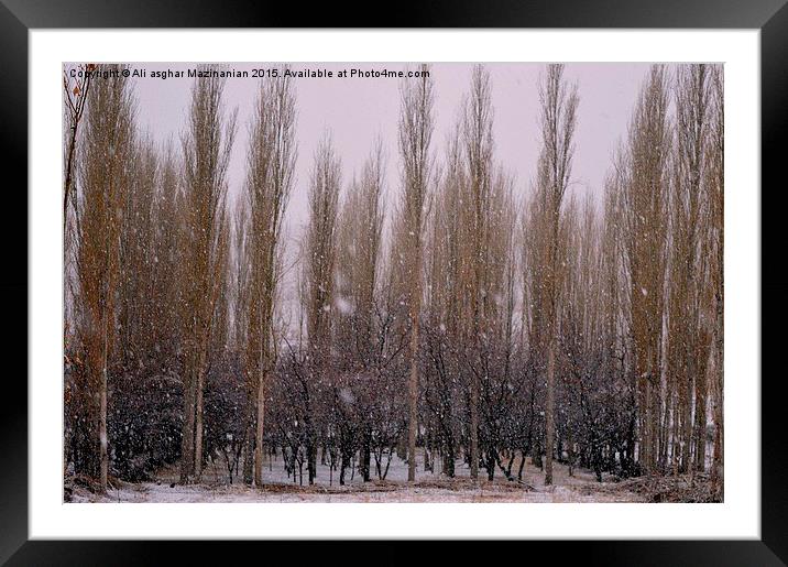  Under heavy snow, Framed Mounted Print by Ali asghar Mazinanian