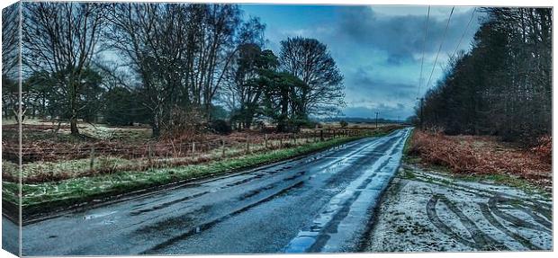  After the Storm Canvas Print by Simon Tuck