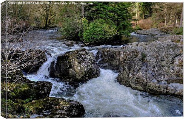  River Llugwy Betws-y-Coed  Canvas Print by Diana Mower