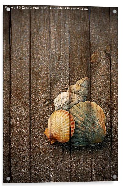  Seashells Acrylic by Zena Clothier