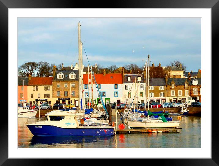  anstruther harbor   Framed Mounted Print by dale rys (LP)
