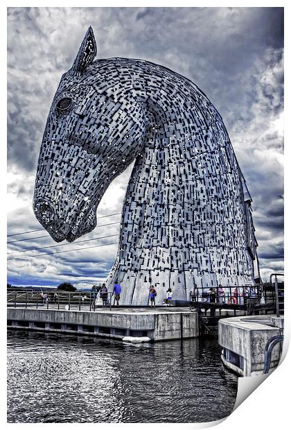 A Kelpie Print by Tom Gomez