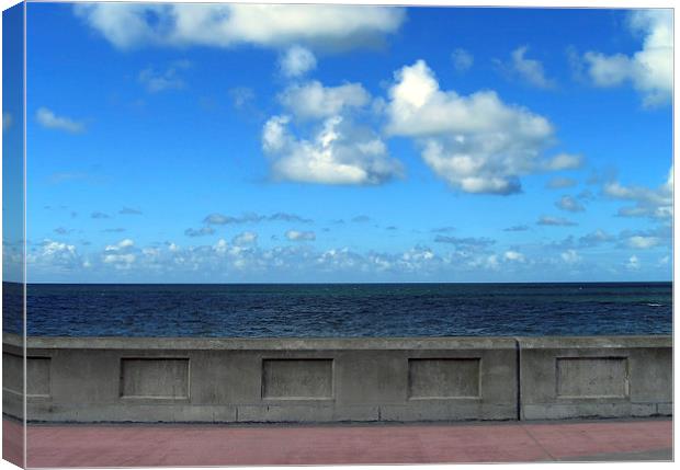 Promenade Canvas Print by Victor Burnside