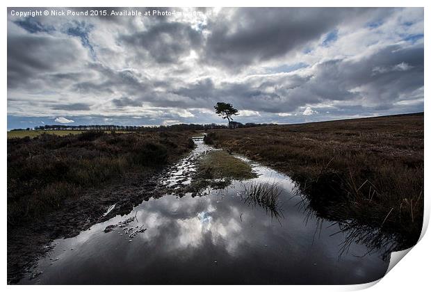 Wet and Windy Print by Nick Pound