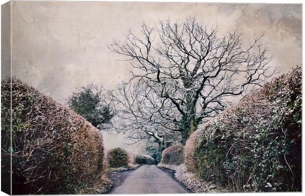 snowy lane  Canvas Print by Dawn Cox