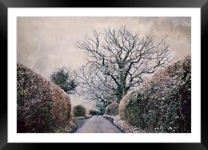 snowy lane  Framed Mounted Print by Dawn Cox