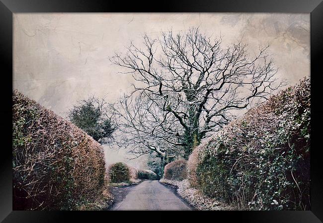 snowy lane  Framed Print by Dawn Cox