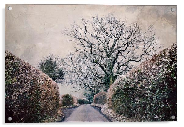 snowy lane  Acrylic by Dawn Cox