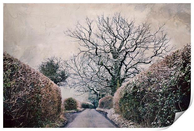 snowy lane  Print by Dawn Cox