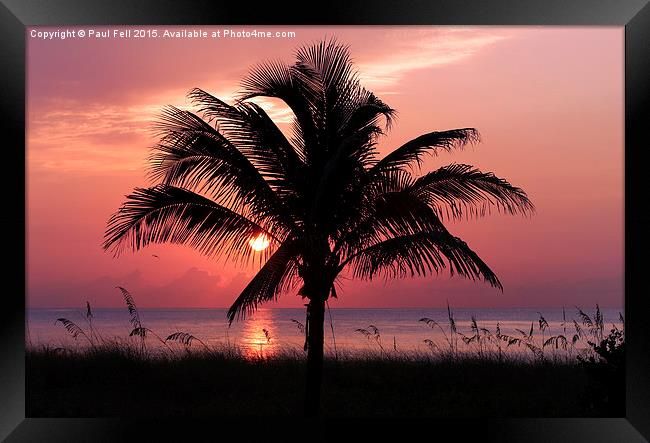 Florida Sunrise Framed Print by Paul Fell