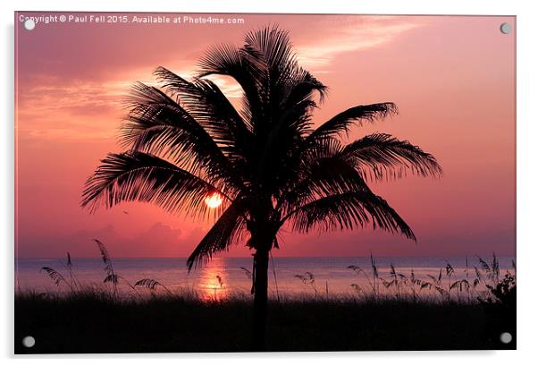 Florida Sunrise Acrylic by Paul Fell