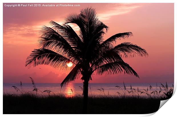 Florida Sunrise Print by Paul Fell